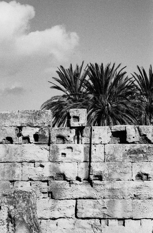 © Francesca Cugno - Image from the Rosacroce photography project