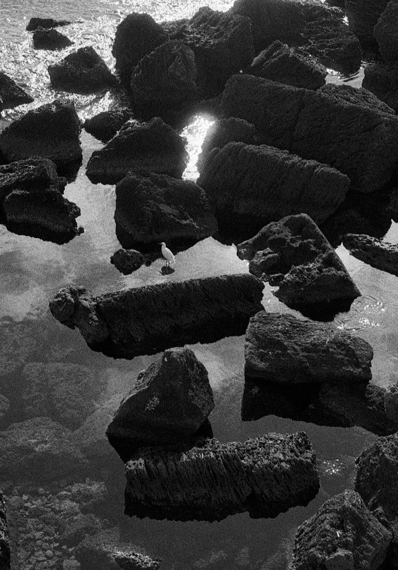 © Francesca Cugno - Image from the Rosacroce photography project