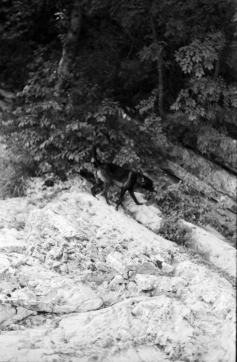 © Francesca Cugno - Image from the Rosacroce photography project