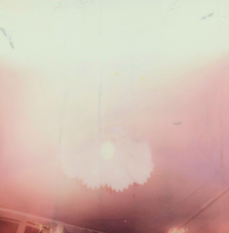 © Francesca Cugno - Image from the Rosacroce photography project