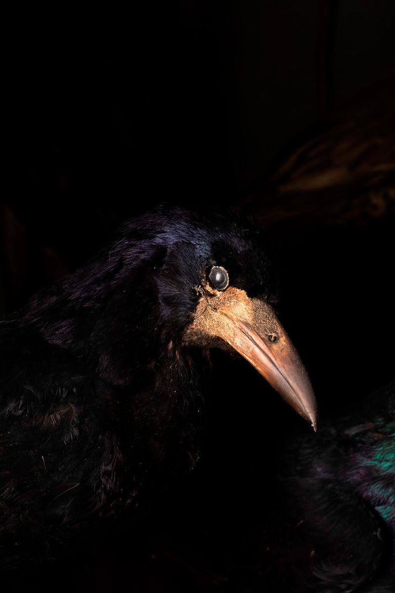 © Francesca Cugno - Image from the 871 photography project