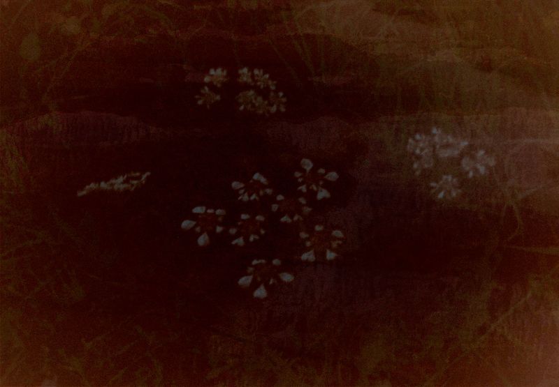 © Eveofscarlet - Image from the The Wind photography project