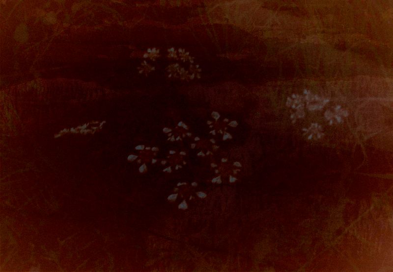 © Eveofscarlet - Image from the The Wind photography project