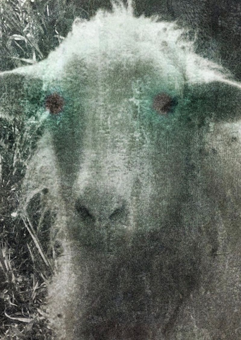 © Eveofscarlet - Image from the The Wind photography project