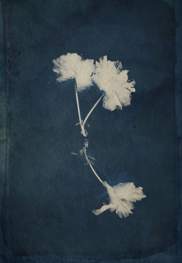 © Eveofscarlet - Image from the The Wind photography project