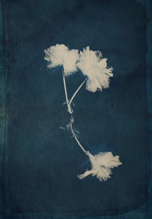 © Eveofscarlet - Image from the The Wind photography project