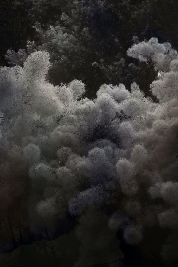 © Eveofscarlet - Image from the The Wind photography project