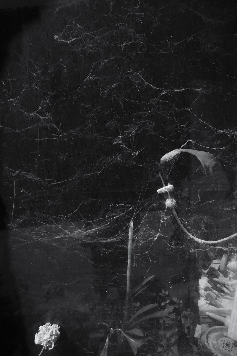 © Eveofscarlet - Image from the The Wind photography project