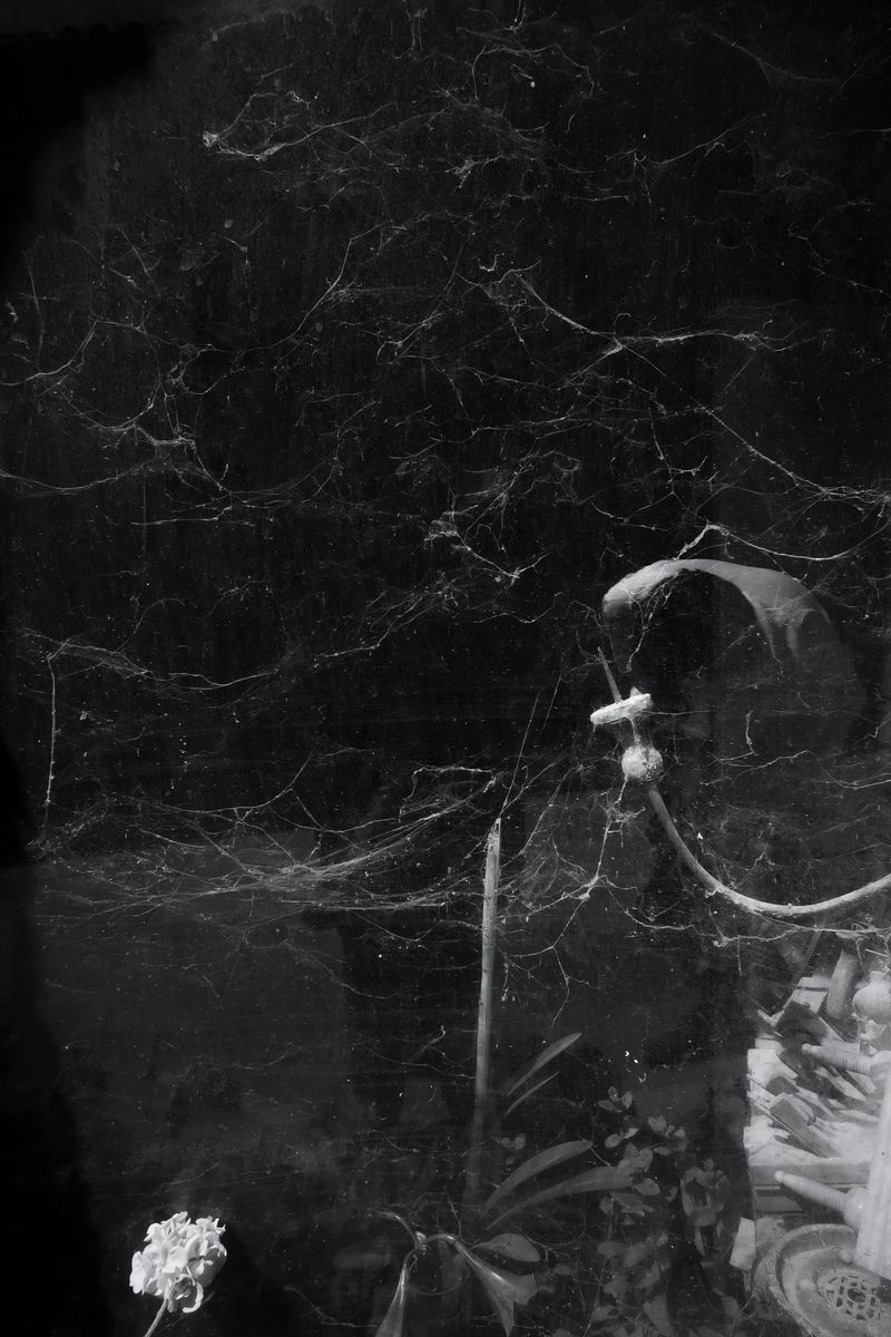 © Eveofscarlet - Image from the The Wind photography project