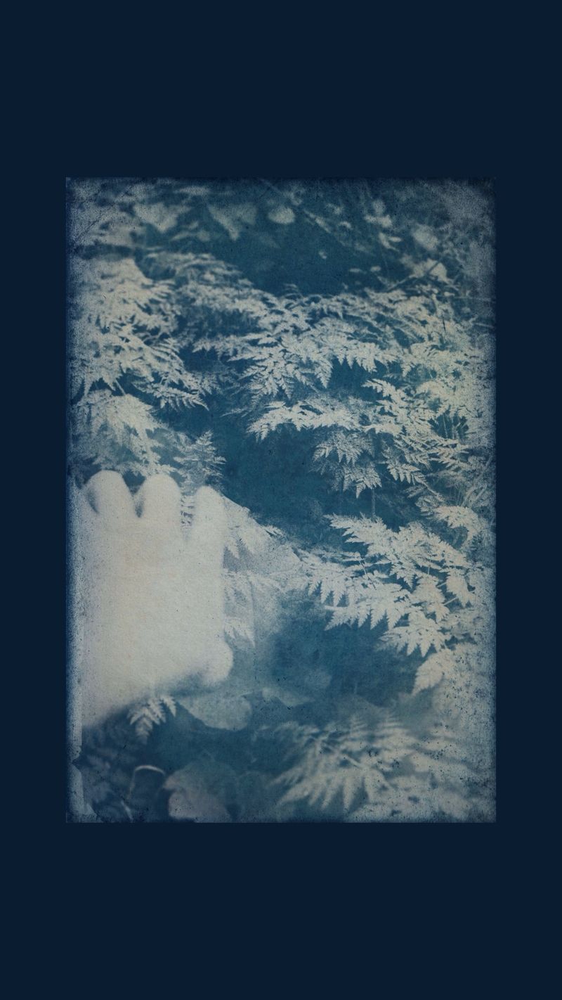 © Eveofscarlet - Image from the The Wind photography project