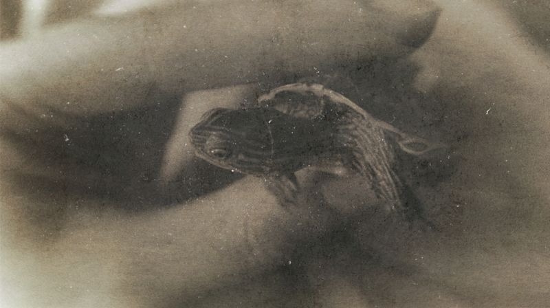 © Eveofscarlet - Image from the The Wind photography project