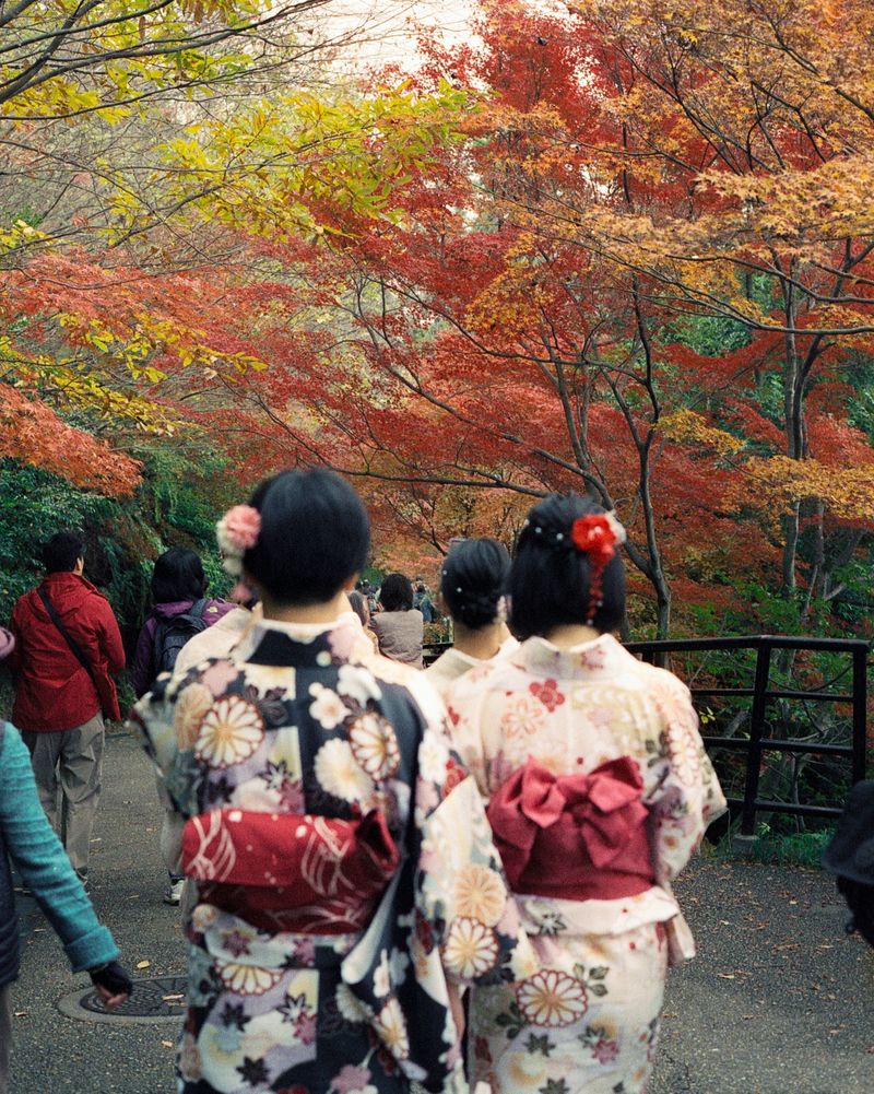 © Moník Molinet - Image from the Instant Geishas in the digital Age photography project