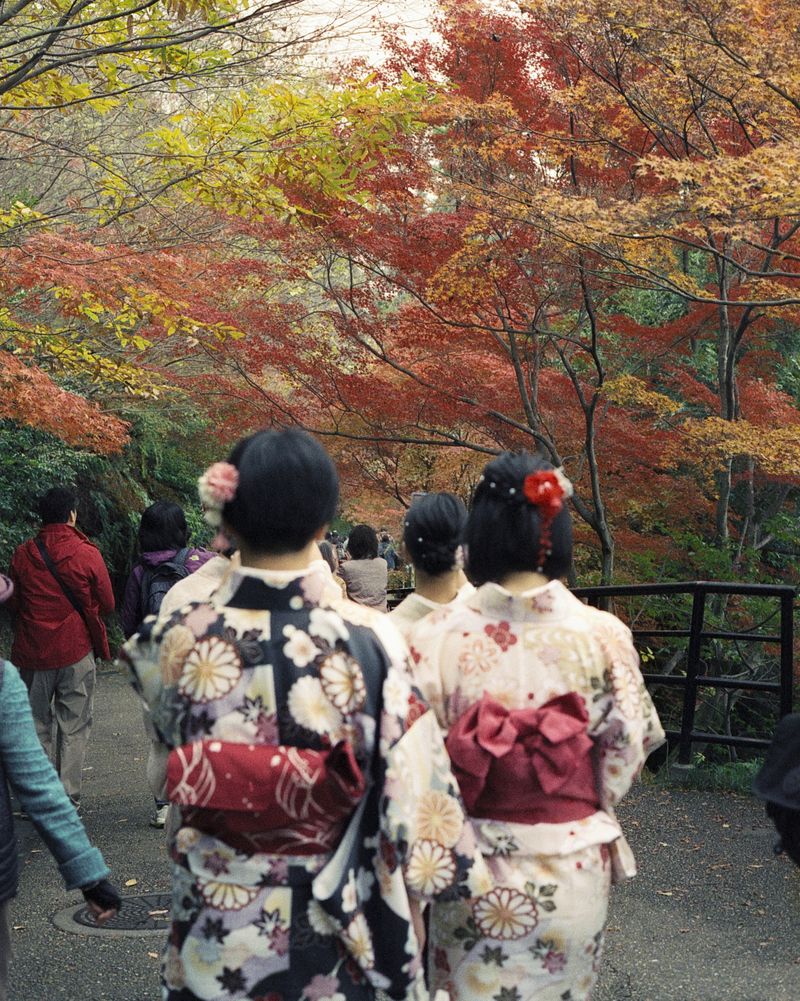 © Moník Molinet - Image from the Instant Geishas in the digital Age photography project