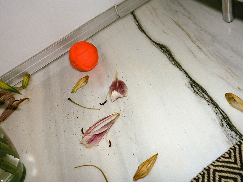 © Moník Molinet - Image from the Domestic Geometry of the Unresolved photography project