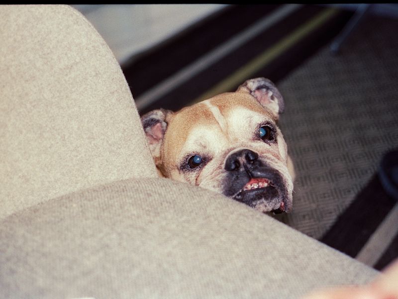 © Moník Molinet - Image from the Domestic Geometry of the Unresolved photography project