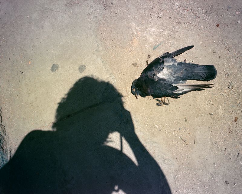 © Moník Molinet - Image from the Shadow practice photography project