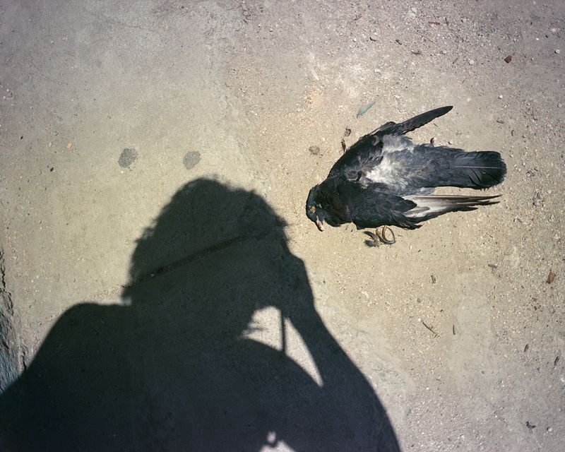 © Moník Molinet - Image from the Shadow practice photography project