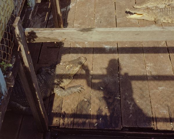 © Moník Molinet - Image from the Shadow practice photography project