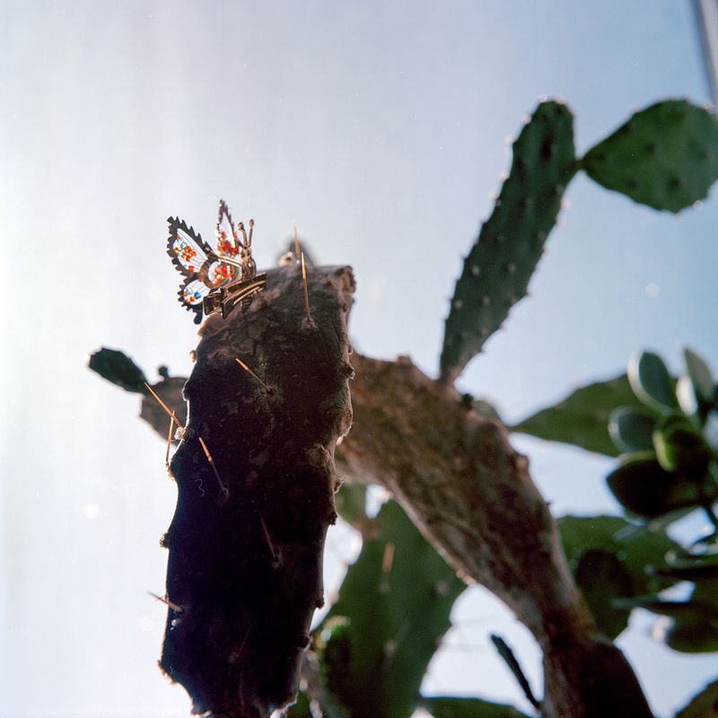 © Xue Wang - Image from the The Henna (Chinese Muslim girl) photography project