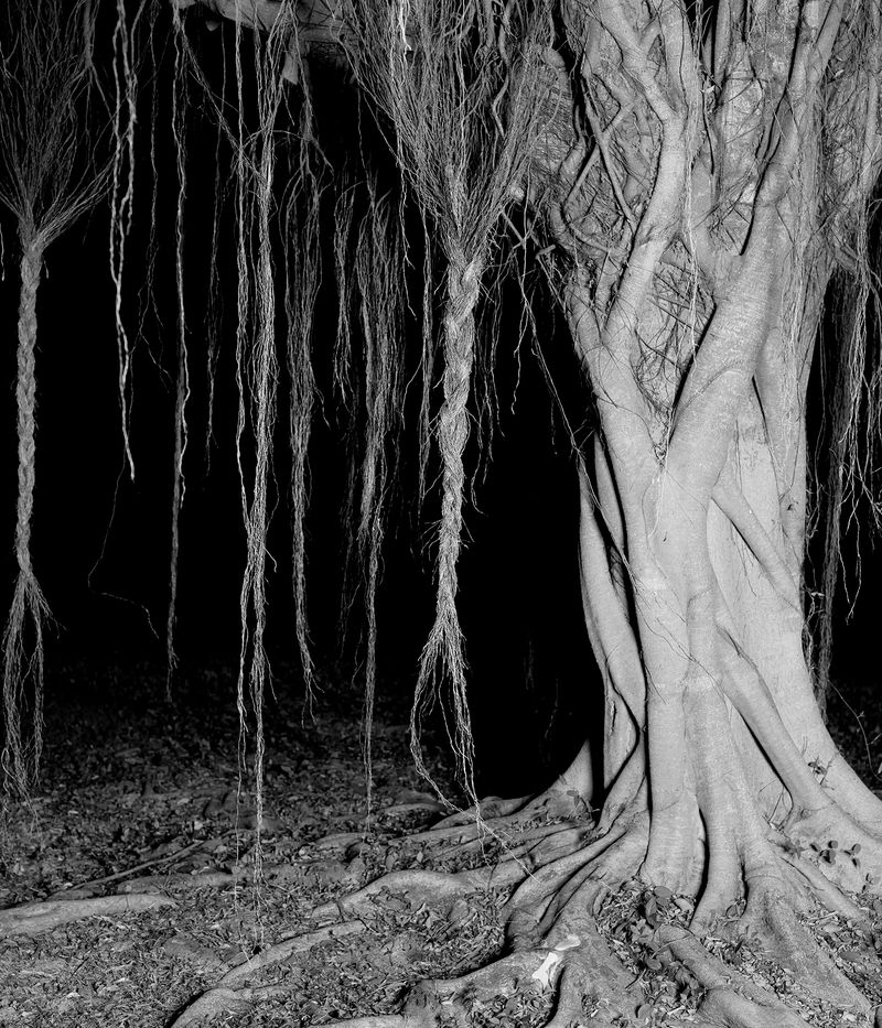 © Xue Wang - Patriarchal clan， photography，2021