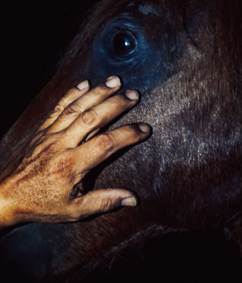 © Jorge Panchoaga - Image from the Natural History of Silence photography project