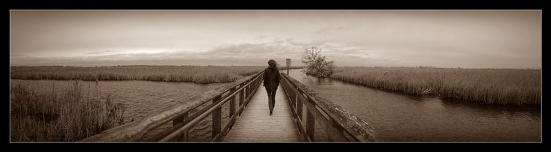 © Sandra Džananović - The Long Thought of Departure