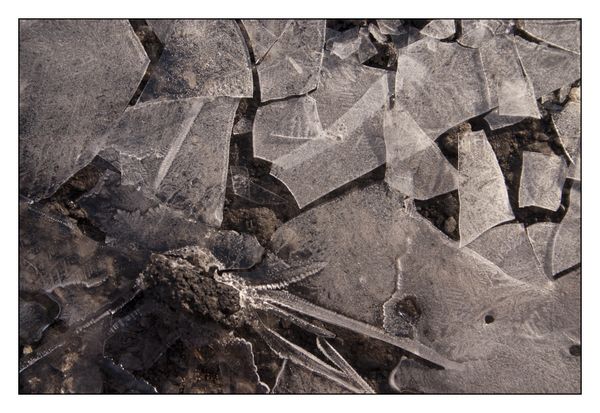 © Sandra Džananović - The Grammar of Fracture