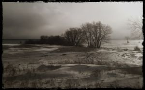 The Poetry of Silence: Reflections on Vladimir Damjanović’s Photography