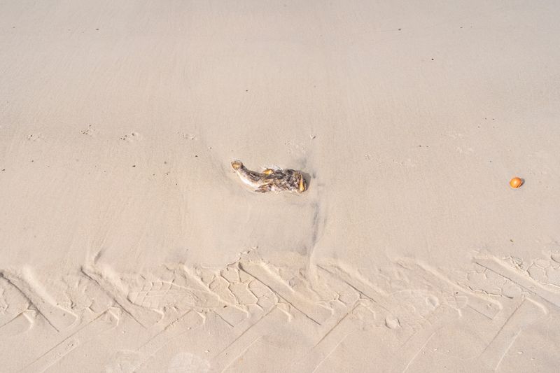 © Jorge Gutierrez Lucena - Image from the Where the Desert Forgets photography project