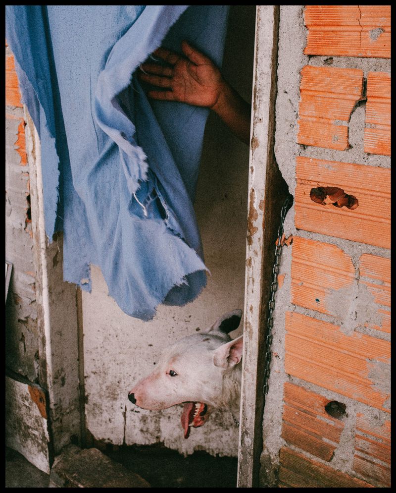 © Larissa Zaidan - Image from the You are young and i love you photography project