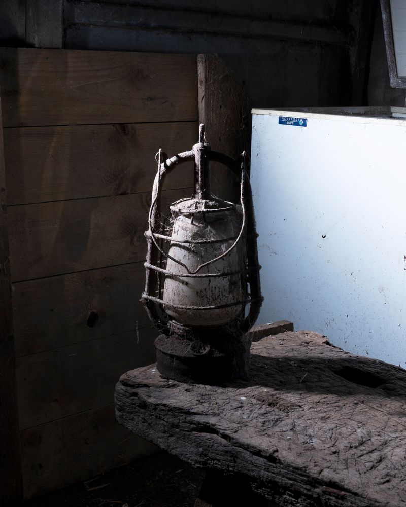 © Liam Webb - Image from the How To Pickle An Adder photography project