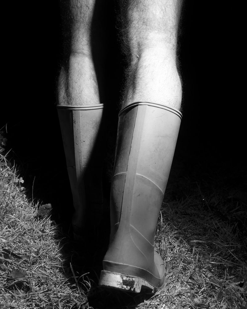 © Liam Webb - Image from the How To Pickle An Adder photography project