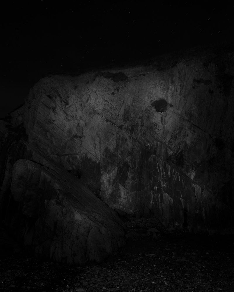 © Liam Webb - Image from the How To Pickle An Adder photography project