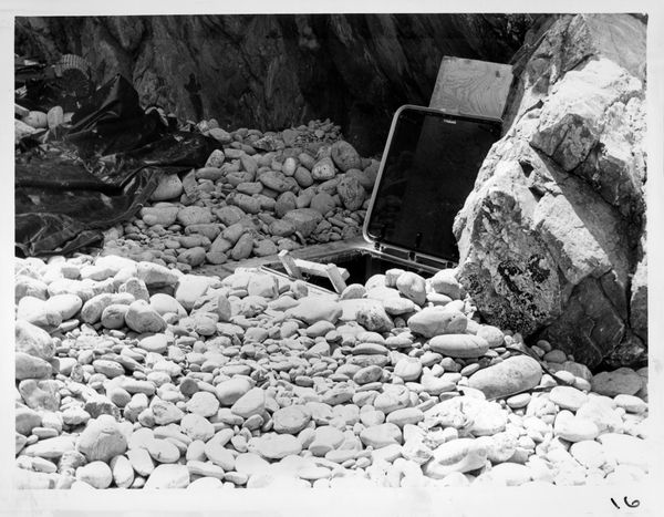 © Liam Webb - Image from the How To Pickle An Adder photography project