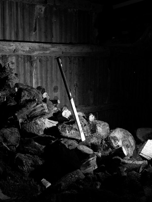 © Liam Webb - Image from the How To Pickle An Adder photography project