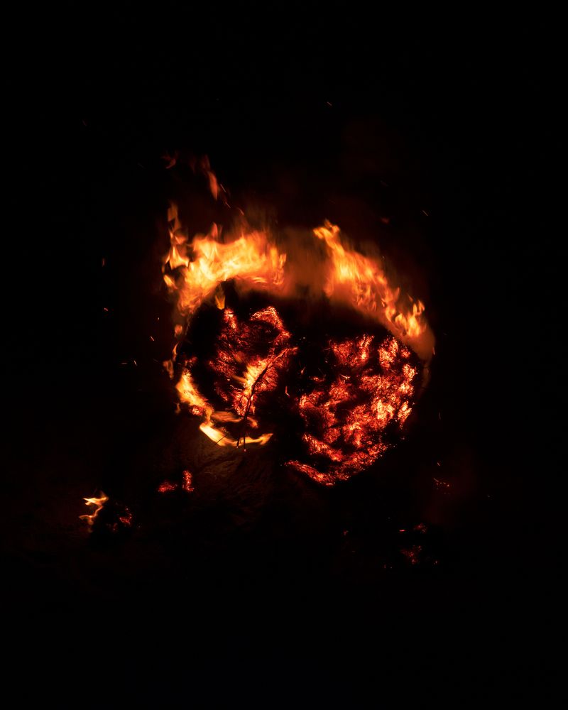 © Liam Webb - Image from the How To Pickle An Adder photography project