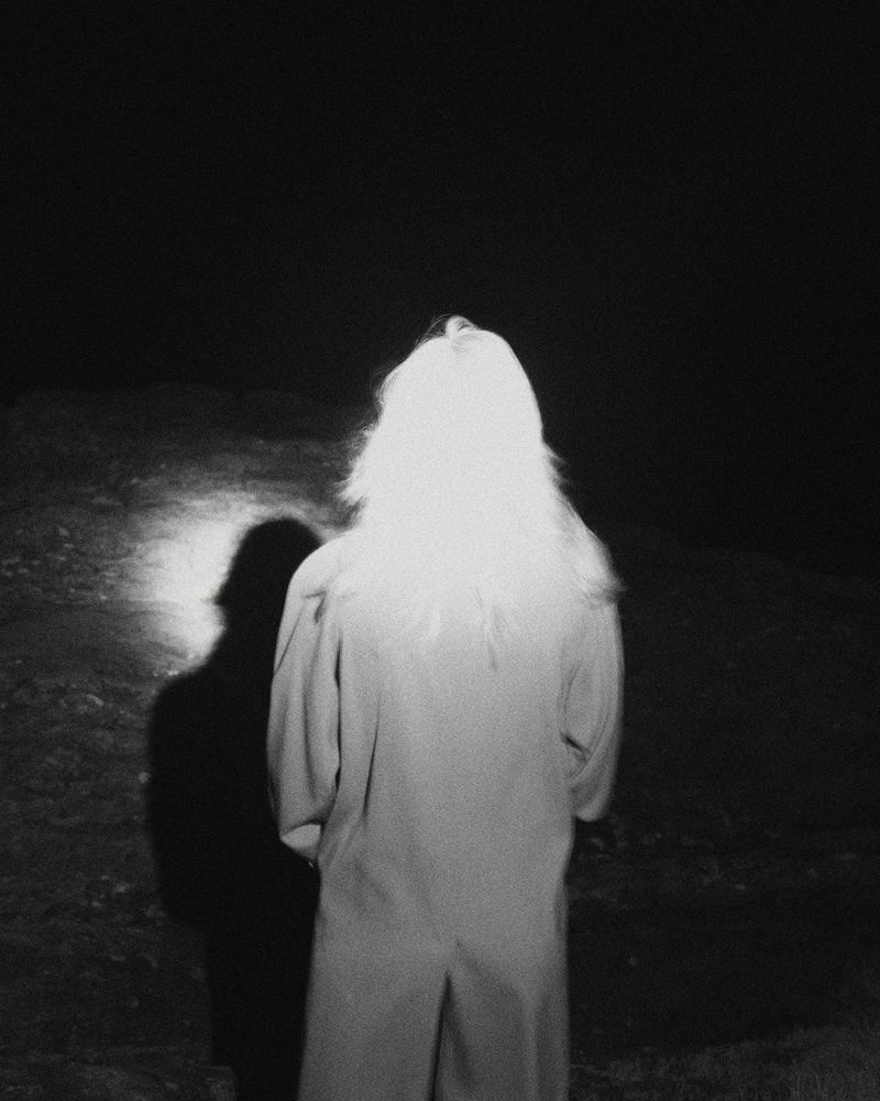 © Liam Webb - Image from the How To Pickle An Adder photography project