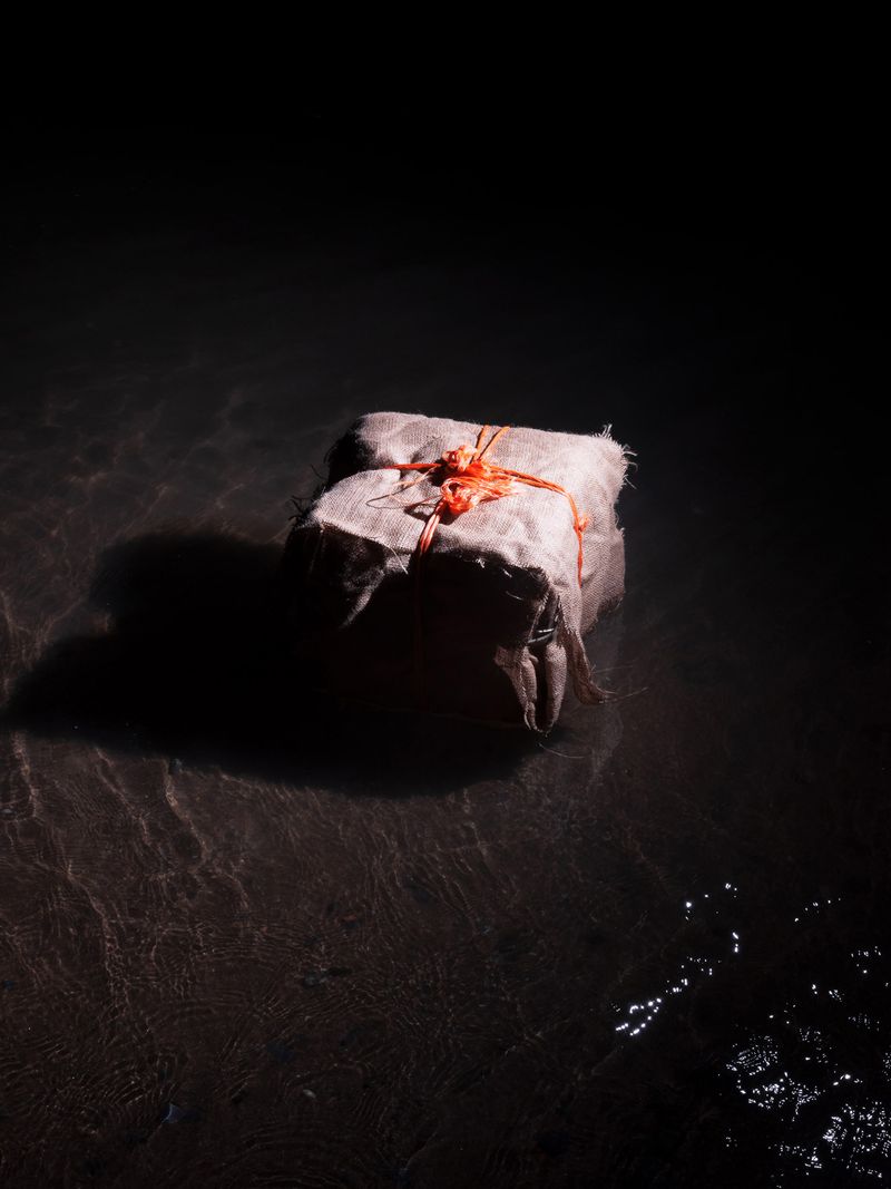 © Liam Webb - Image from the How To Pickle An Adder photography project