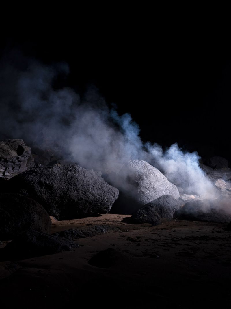 © Liam Webb - Image from the How To Pickle An Adder photography project