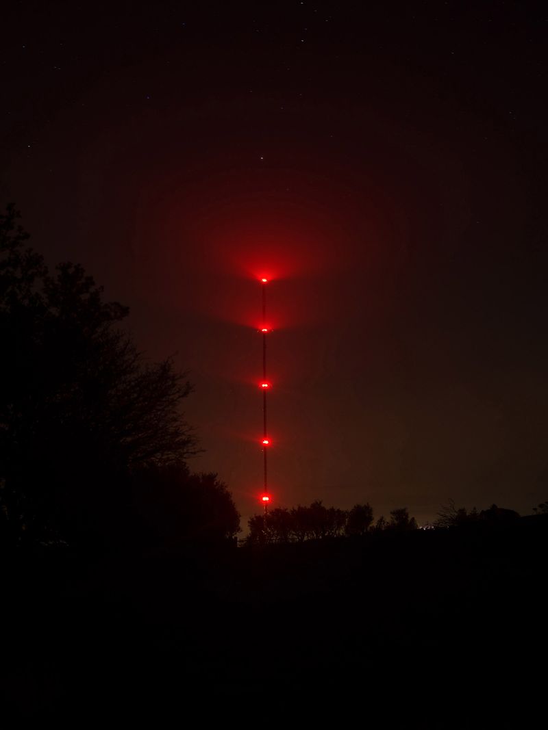 © Liam Webb - Image from the How To Pickle An Adder photography project