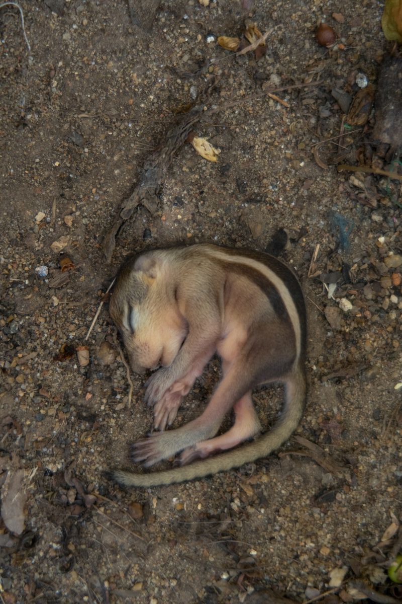 © Balaji Maheshwar - Image from the Tunnel photography project