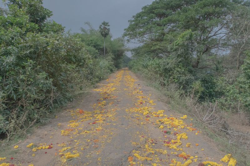 © Balaji Maheshwar - A road with flowers after a funeral procession