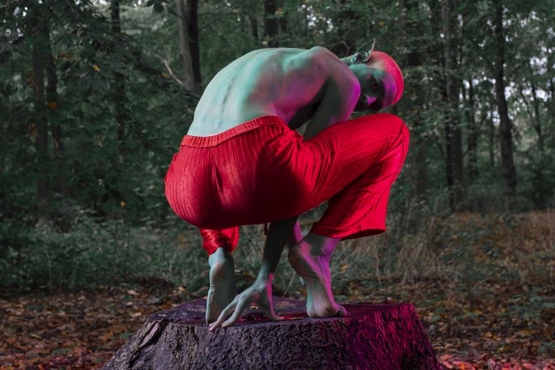 © Varvara Uhlik - Image from the "Into the Woods" photography project