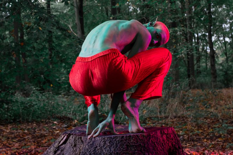 © Varvara Uhlik - Image from the "Into the Woods" photography project