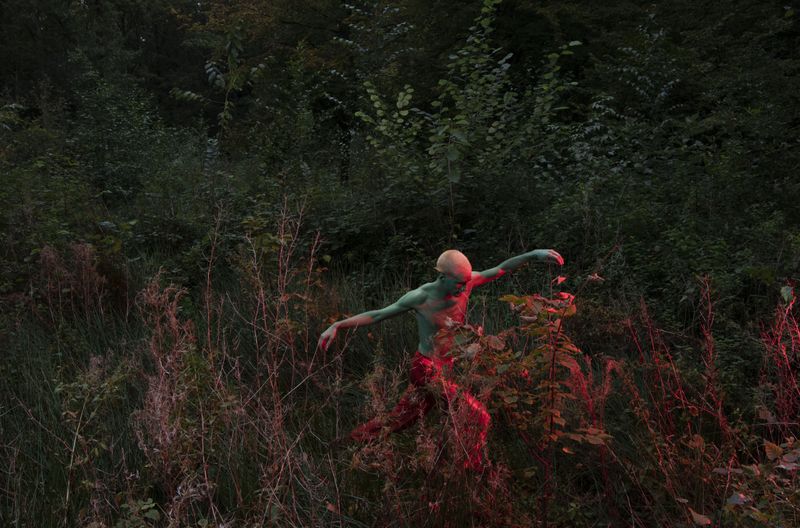 © Varvara Uhlik - Image from the "Into the Woods" photography project