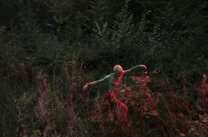 "Into the Woods"