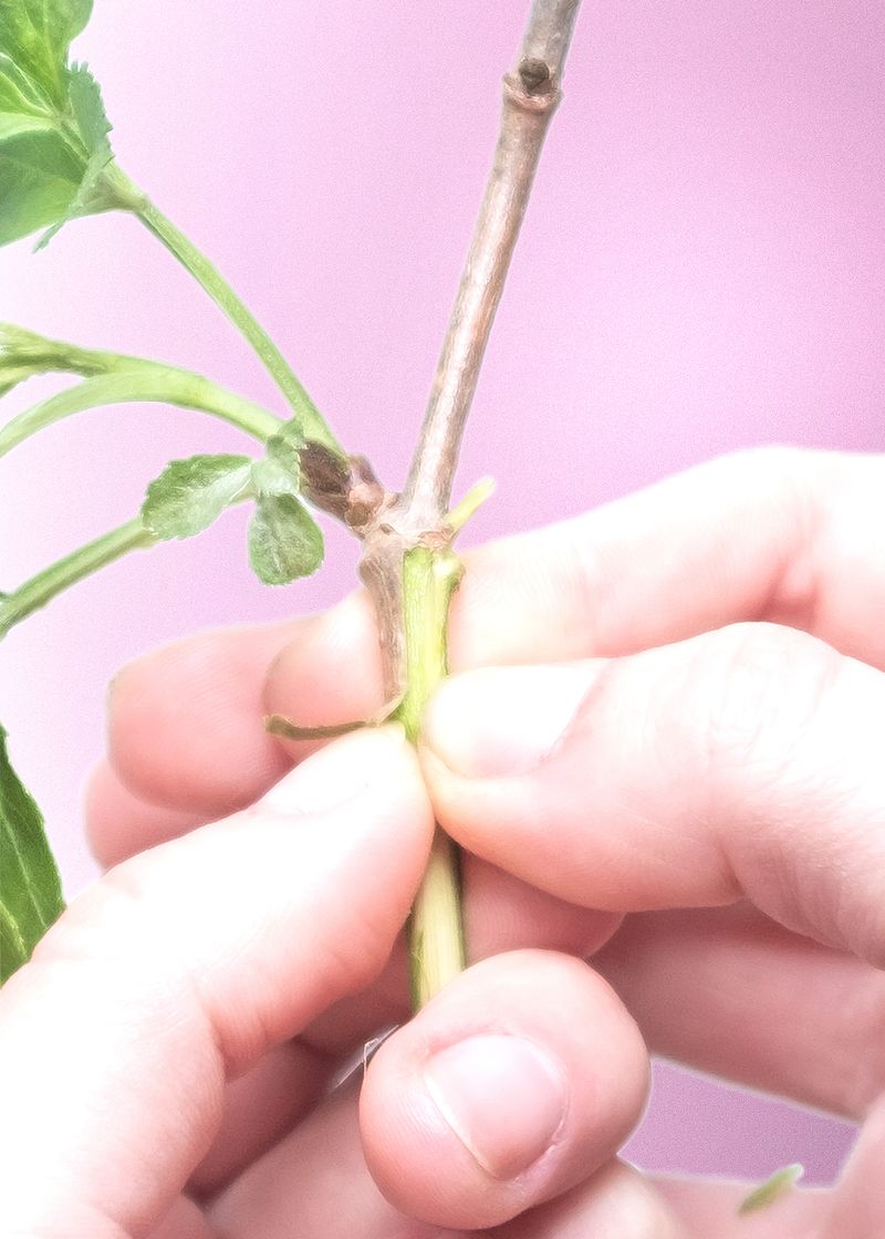 © Varvara Uhlik - Anxiety