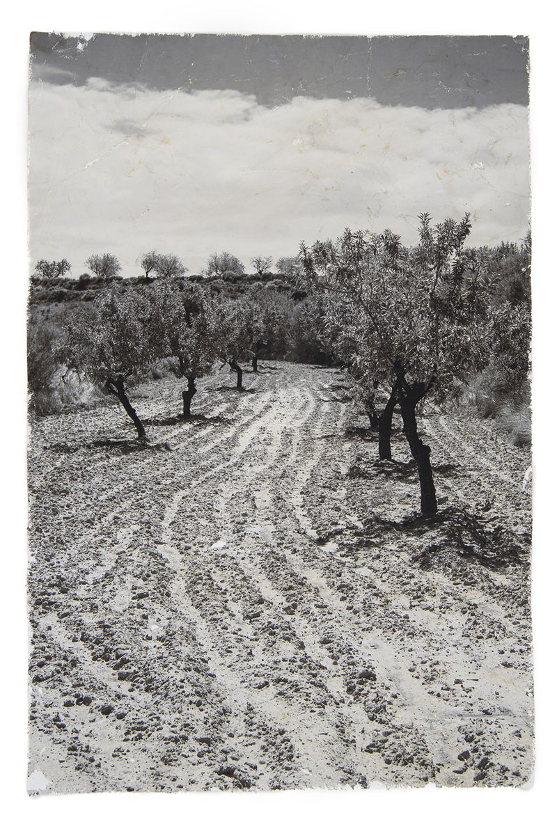 © Lucia Higuera - Image from the Todo photography project