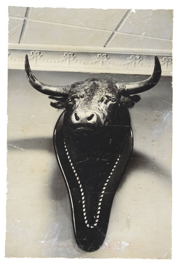 © Lucia Higuera - Image from the Todo photography project