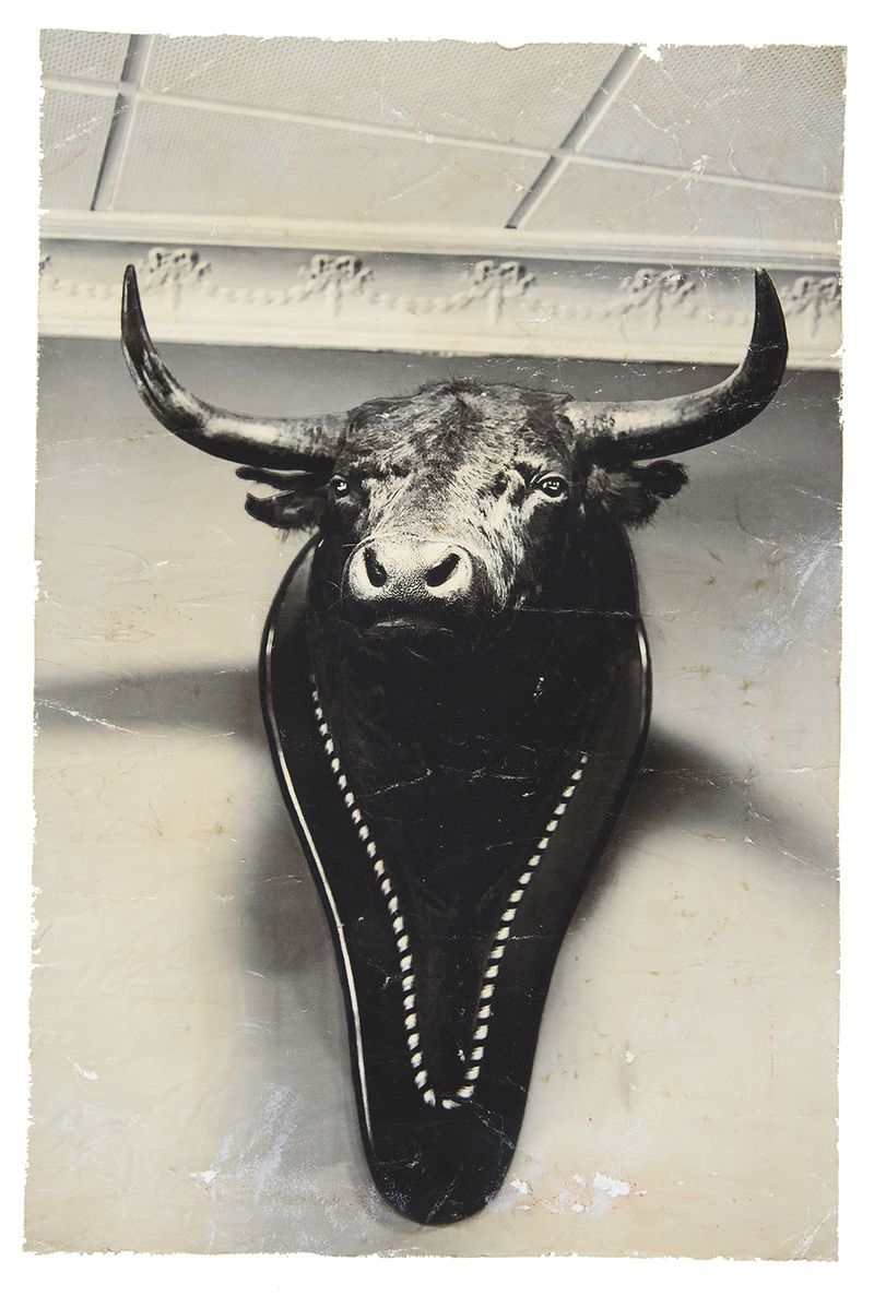 © Lucia Higuera - Image from the Todo photography project